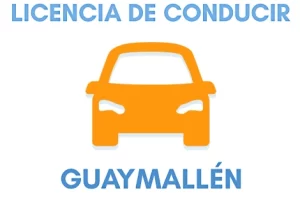Registro de Conducir en Guaymallén