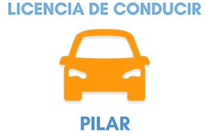 Registro de Conducir en Pilar