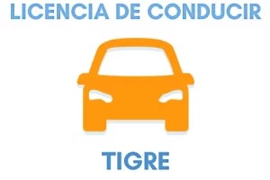 Registro de Conducir en Tigre